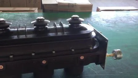 Indoor 24V Sf6 Gas Load Break Switch 