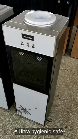 Popular Vertical Electronic Cooling Water Dispenser with Storage Cabinet 