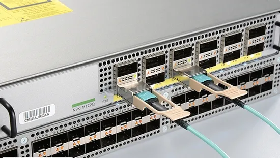 Hot Sale Netapp Switches of X190005 